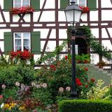 1107G 082 Insel Reichenau